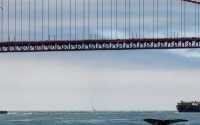 gallery_San_Francisco_Bay_UC_Berkeley_5 gallery_San_Francisco_Bay_UC_Berkeley_5