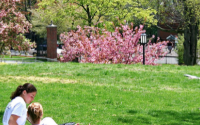 Tufts_University_5