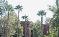 csu9 csu9